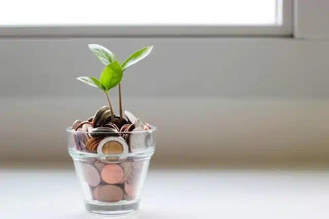A pot filled with coins and a plant symbolizes growth in savings and investment.